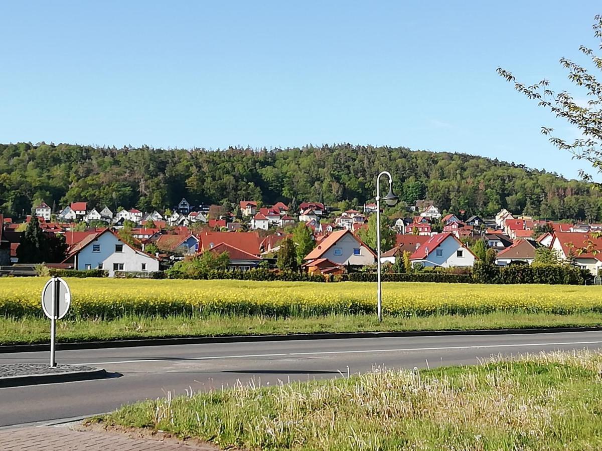 Apartment 40qm Gernrode Gernrode (Saxony-Anhalt)